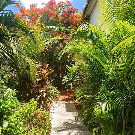Villa Blue Lagoon Suite Apartment Lowlands Bagian luar foto