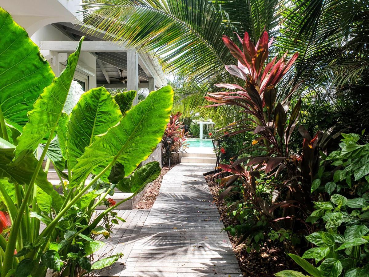 Villa Blue Lagoon Suite Apartment Lowlands Bagian luar foto