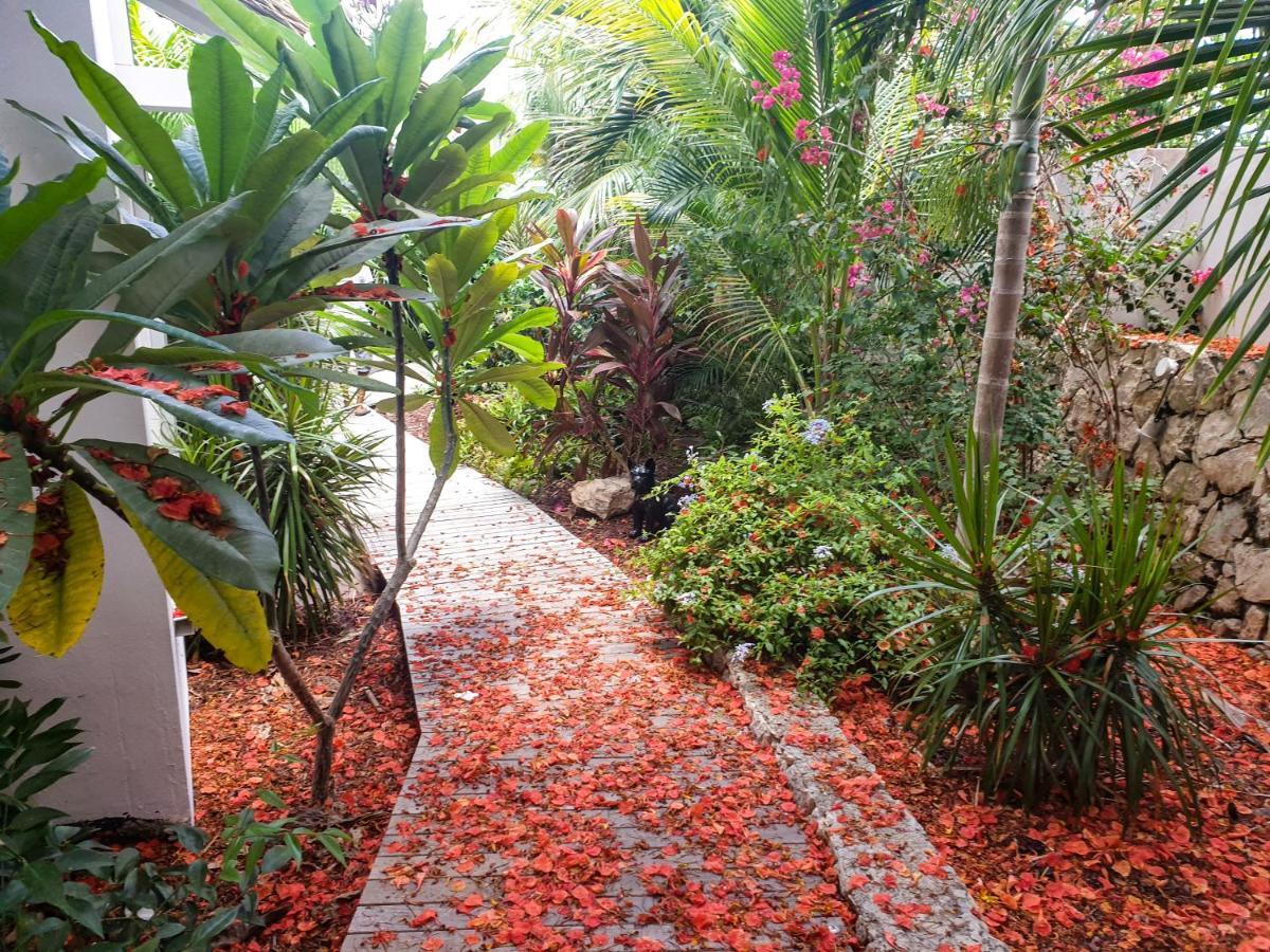 Villa Blue Lagoon Suite Apartment Lowlands Bagian luar foto