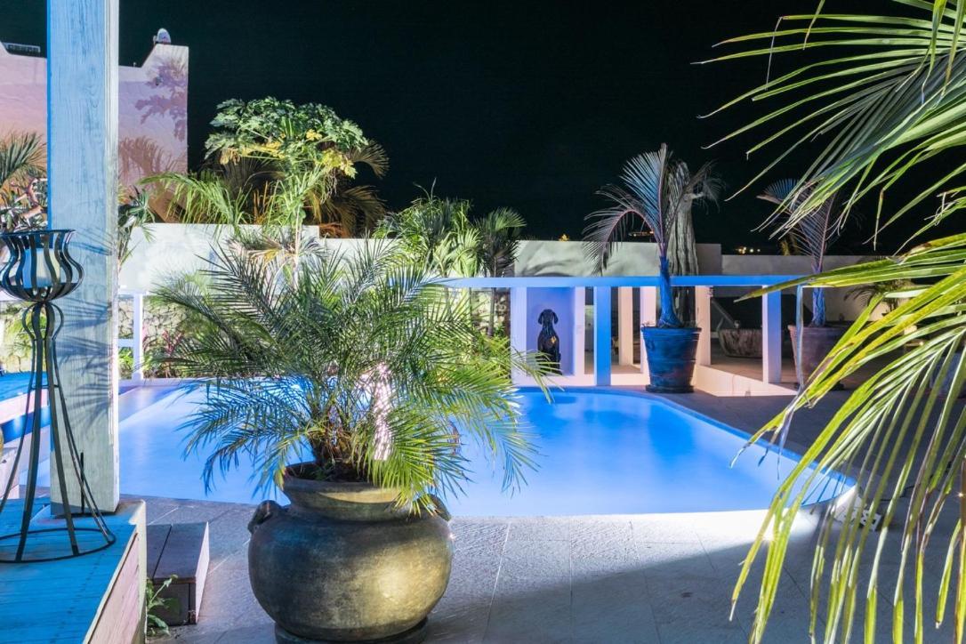 Villa Blue Lagoon Suite Apartment Lowlands Bagian luar foto