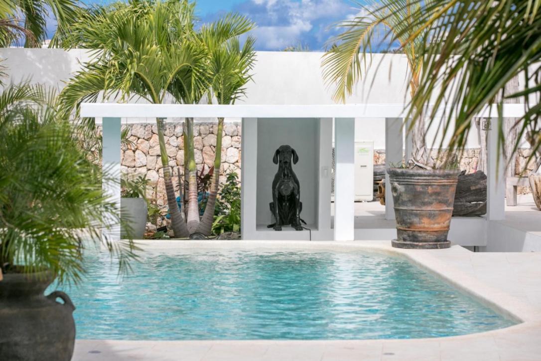 Villa Blue Lagoon Suite Apartment Lowlands Bagian luar foto